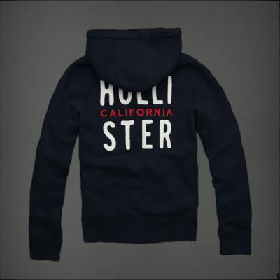 Hollister Men Hoodies-20